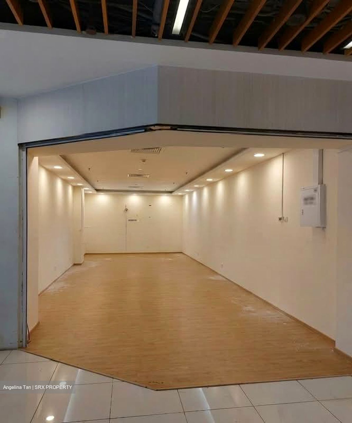 Bukit Timah Plaza / Sherwood Towers (D21), Shop House #590520941